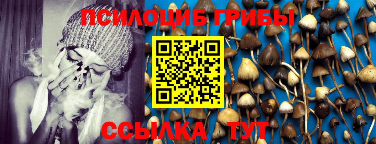 Галлюциногенные грибы MAGIC MUSHROOMS  Вход с VPN  Псилоцибиновые грибы GOLDEN TEACHER  Богданович 